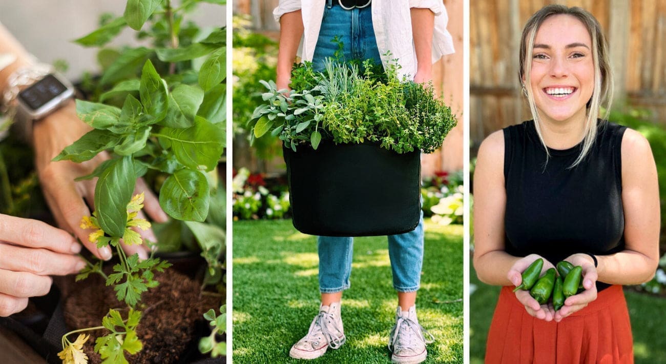 Gardenuity Container Garden Kits