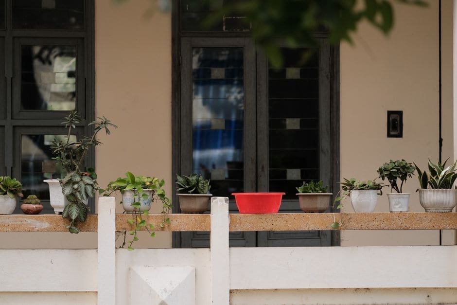 Growing Things Without a Yard: What's Worth It on a Balcony Budget