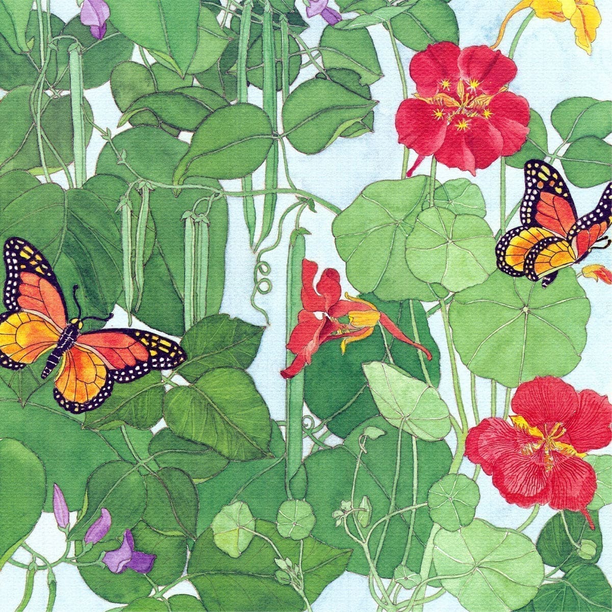 Renee's Garden Seeds