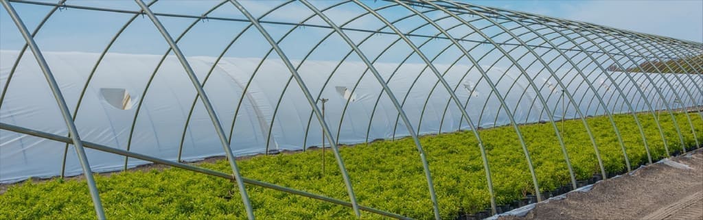 Spring Hill Nursery